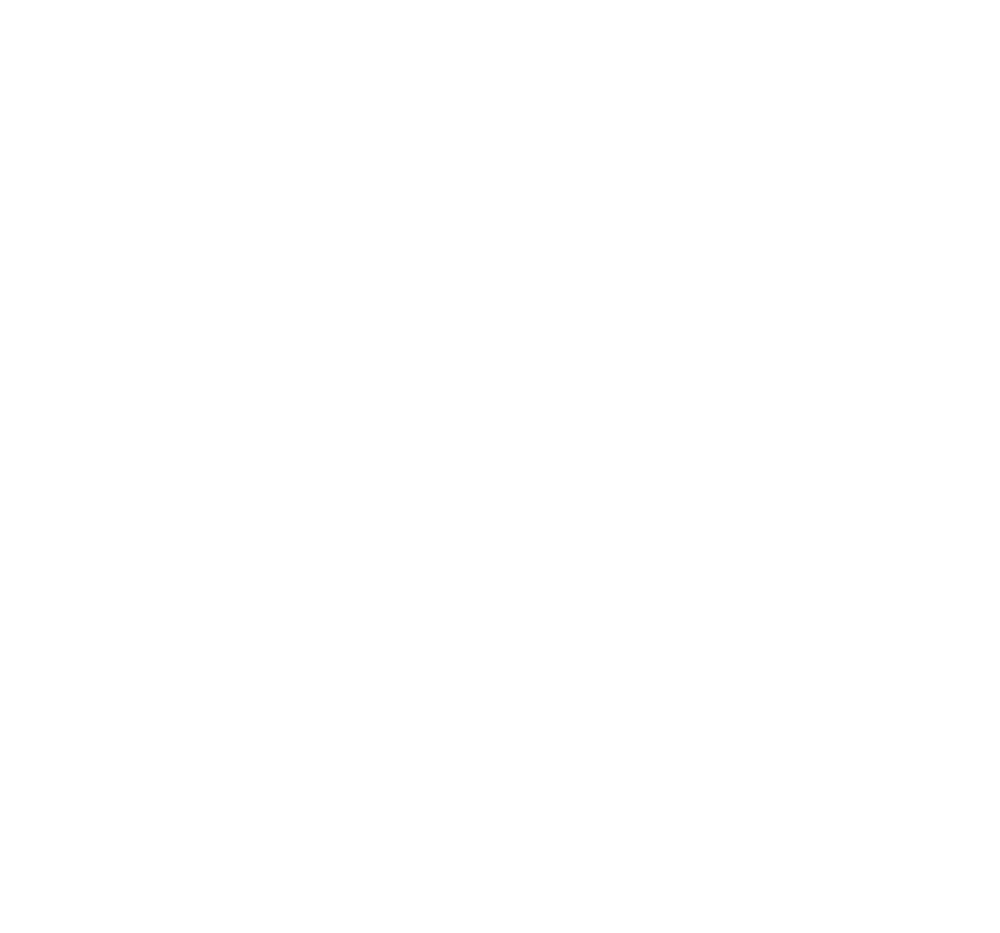 Victory LLC-FZ